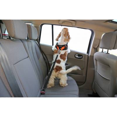 Smycz regulowana dla psa do samochodu karabińczyk ,,50” S do 12kg